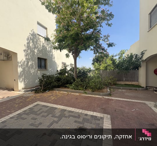 עץ וגינה בחצר בין בניינים